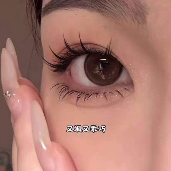 North Star False Eyelash - Image 4