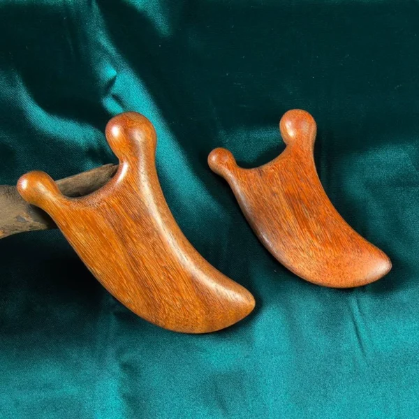Small Snail Massage Comb Sandalwood - Image 3