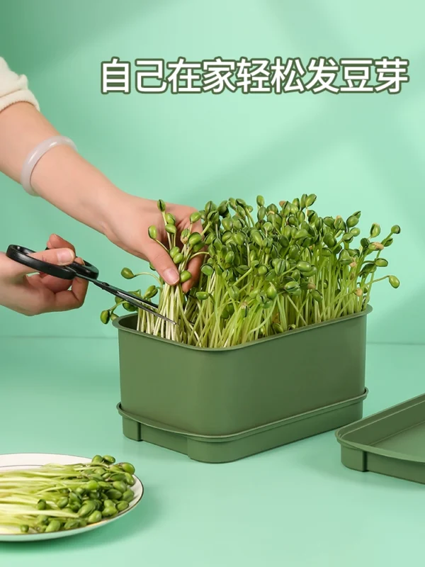 Household Bean Sprout Making Tool Artifact - Image 2