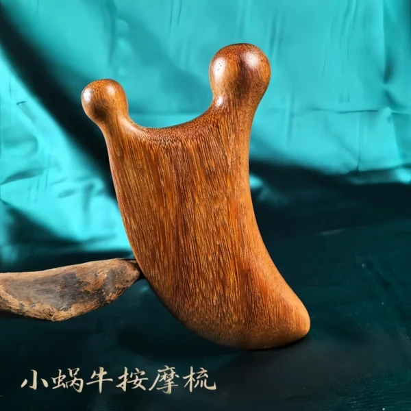 Small Snail Massage Comb Sandalwood - Image 2