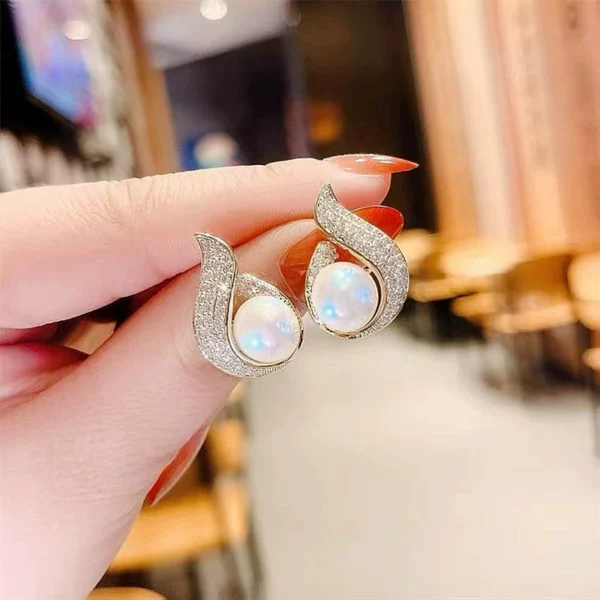 Advanced feeling full diamond earrings - Image 1