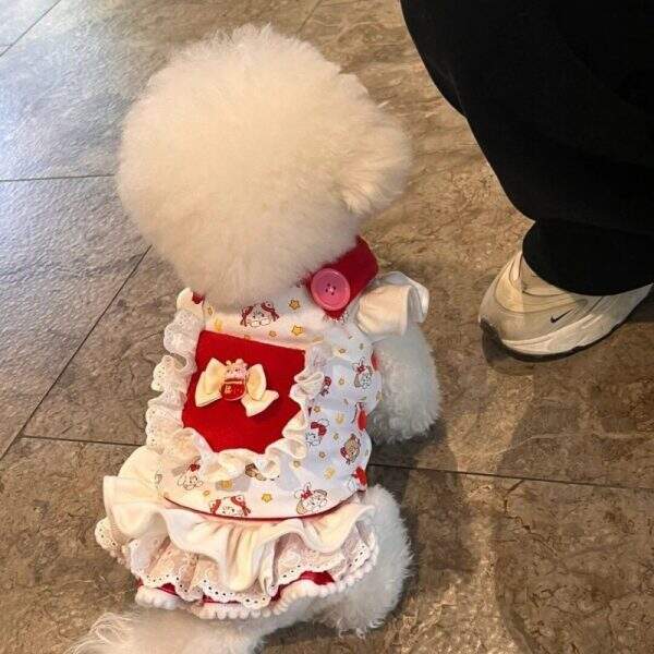 Cat and dog clothes - Image 4