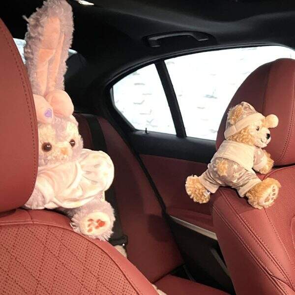 Car accessories - Image 2