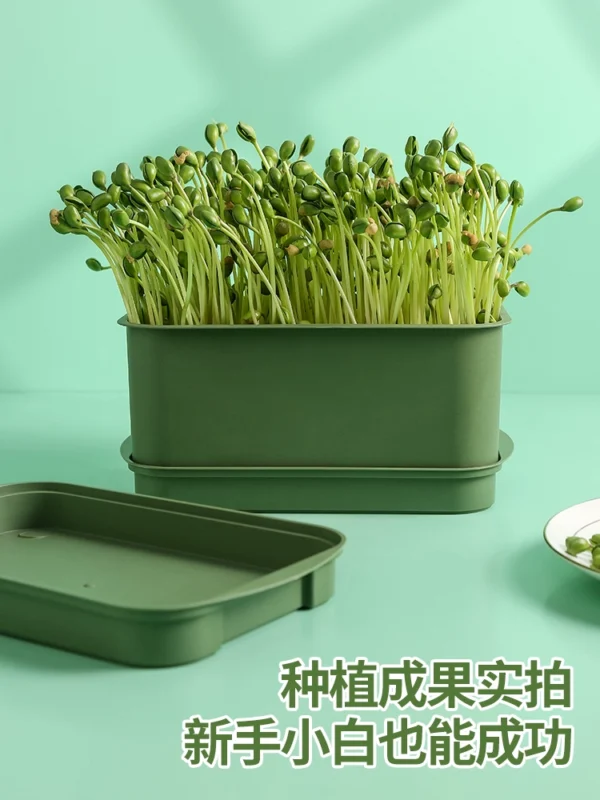 Household Bean Sprout Making Tool Artifact - Image 5