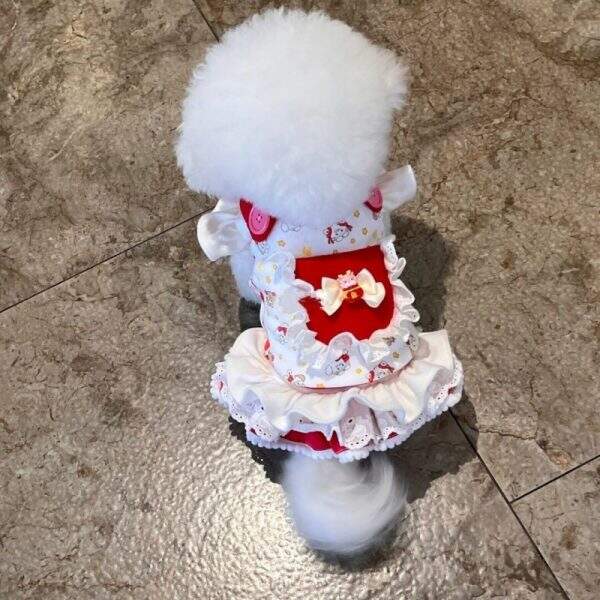 Cat and dog clothes - Image 1