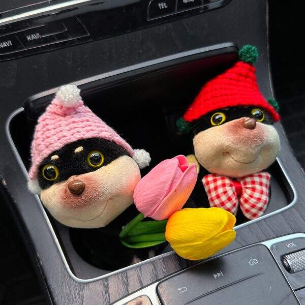 Car accessories - Image 3