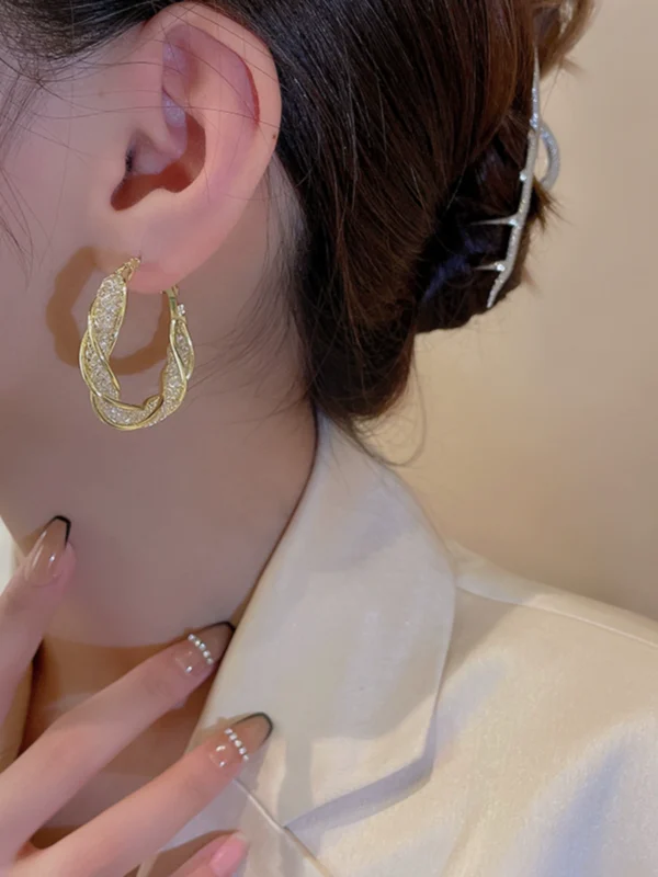 High end circular earrings - Image 4