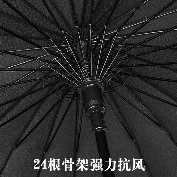 umbrella - Image 5