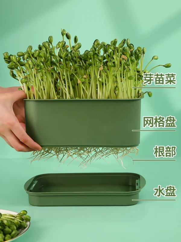 Household Bean Sprout Making Tool Artifact - Image 4