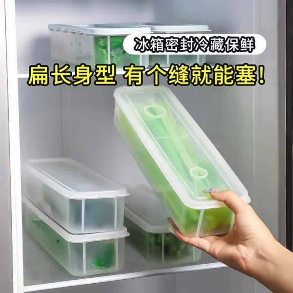 Food grade Scallion and Cilantro Preservative Box - Image 3