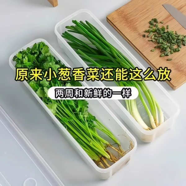 Food grade Scallion and Cilantro Preservative Box - Image 2
