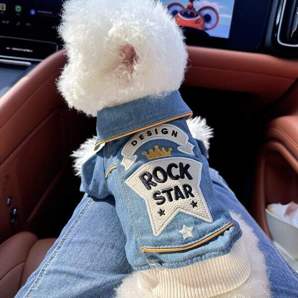 Dog and cat clothes - Image 1