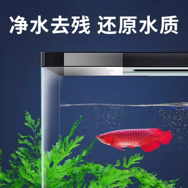Methylene blue fish tank disinfection for aquarium fish - Image 3