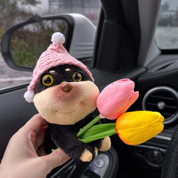 Car accessories - Image 4