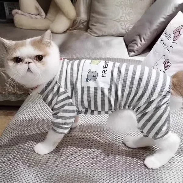 Cat clothes - Image 1