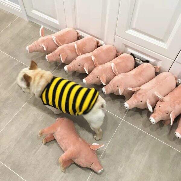 Cute simulation sow doll with piglet fur - Image 4