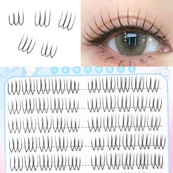 eyelash - Image 3