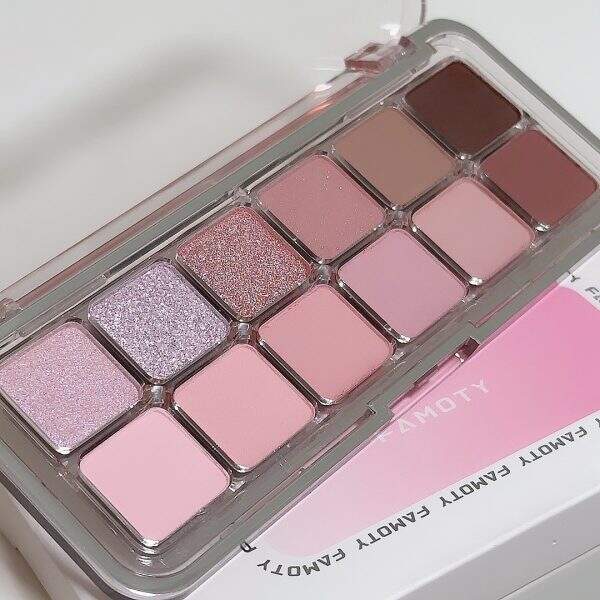 12 color eye shadow matte affordable earth color eye shadow - Image 3