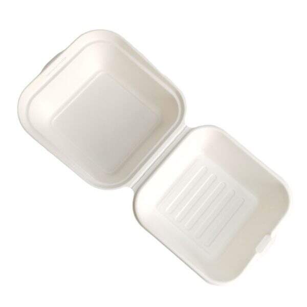 Disposable pulp lunch box - Image 5