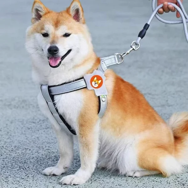 Breathable, soft, suitable for single-leash dog walking. - Image 3
