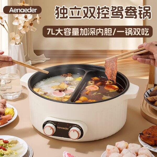Multi-purpose electric pot for home use - Image 1