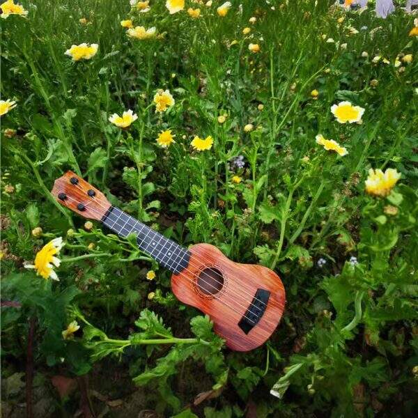 Ukulele guitar - Image 2