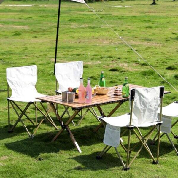 Portable folding chair, picnic chair - Image 2