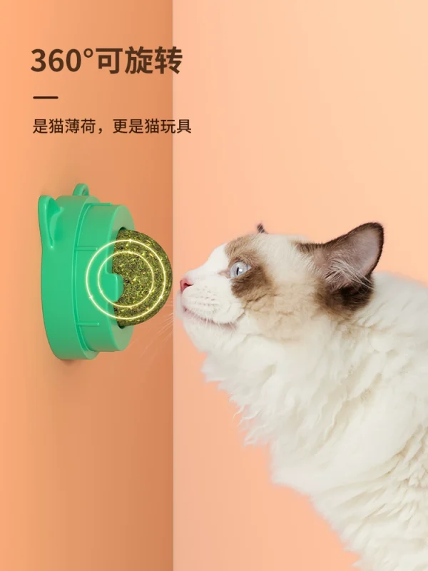 Cat Toy Grind Teeth, Satisfy Greed - Image 4