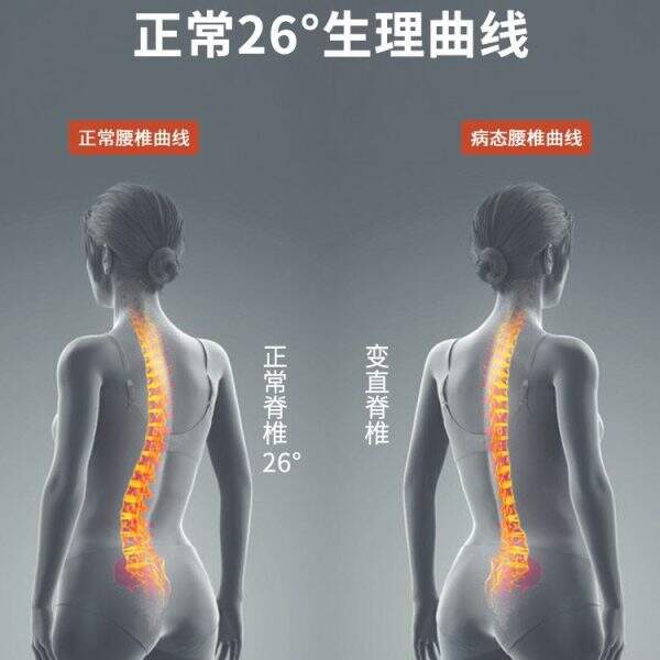 Spine Support Exercise Equipment - Image 4