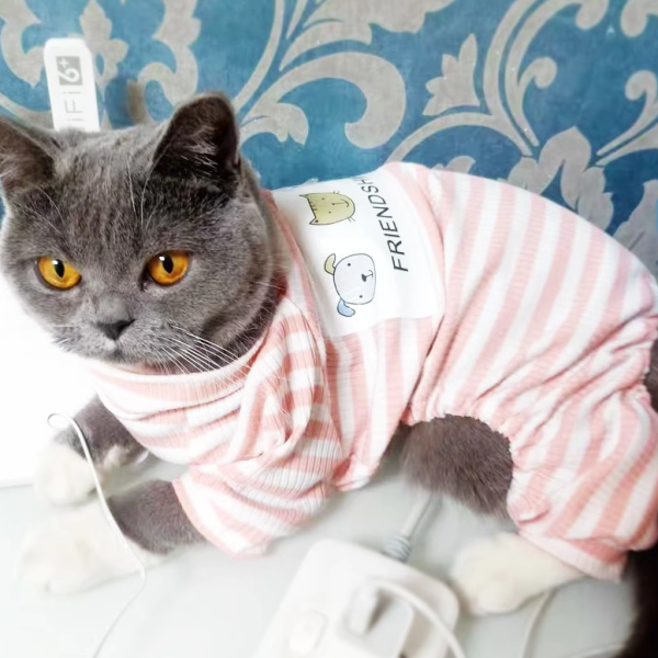 Cat clothes - Image 3